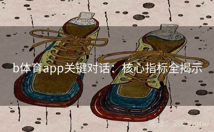 b体育app关键对话：核心指标全揭示
