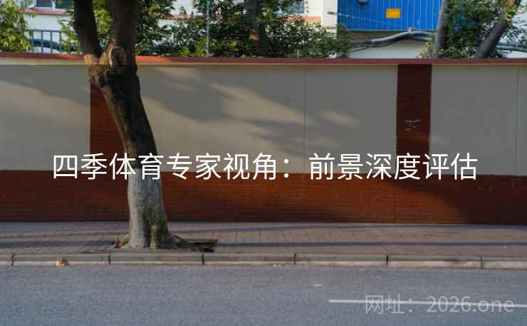 四季体育专家视角：前景深度评估