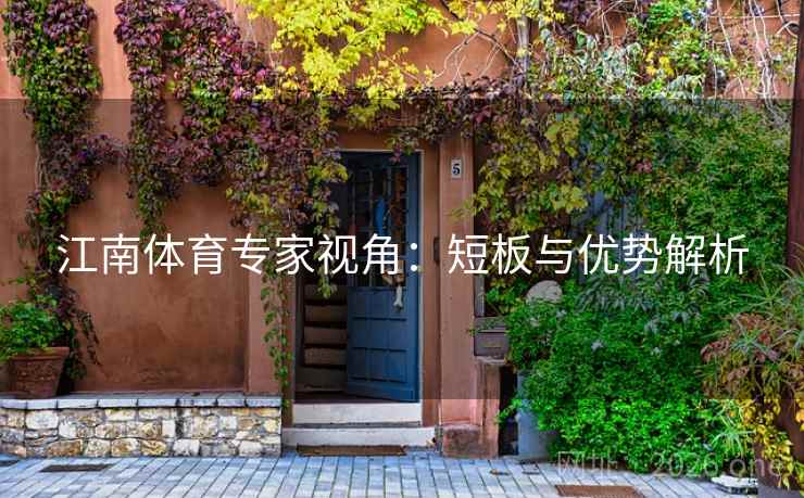 江南体育专家视角：短板与优势解析