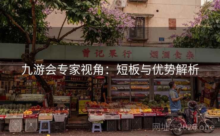 九游会专家视角：短板与优势解析