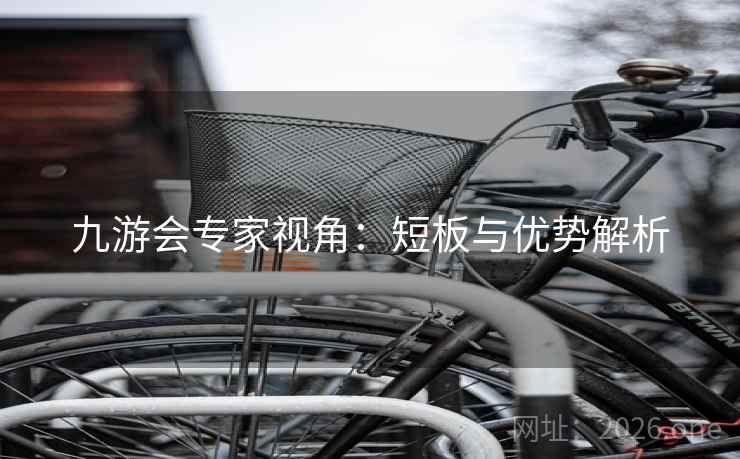九游会专家视角：短板与优势解析