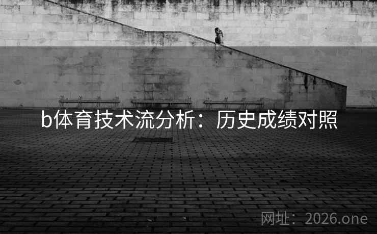 b体育技术流分析：历史成绩对照