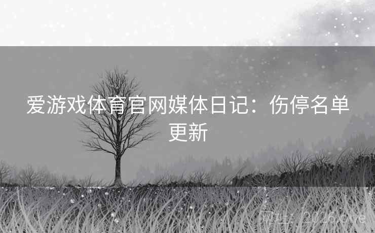 爱游戏体育官网媒体日记：伤停名单更新