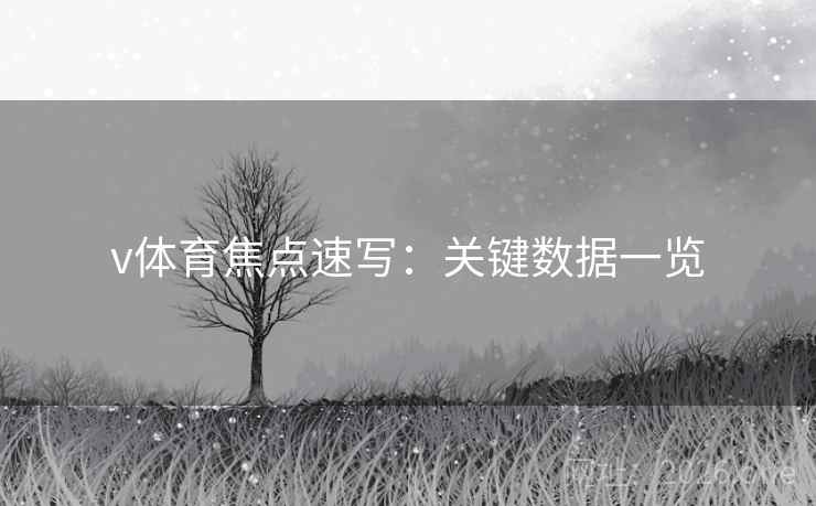 v体育焦点速写：关键数据一览