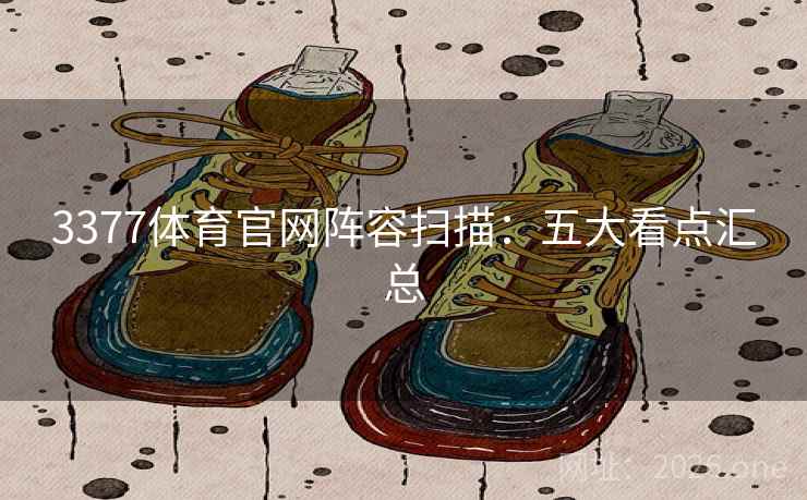 3377体育官网阵容扫描：五大看点汇总