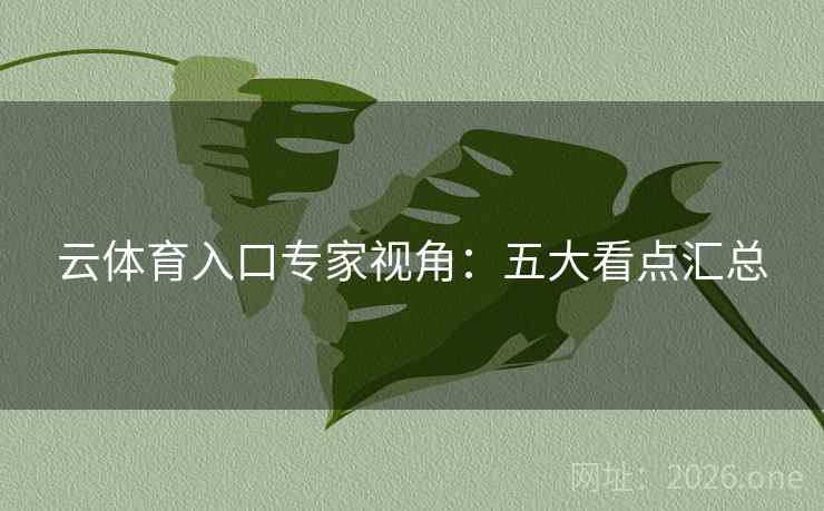 云体育入口专家视角：五大看点汇总