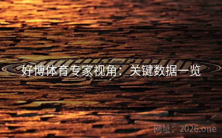 好博体育专家视角：关键数据一览