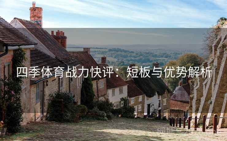 四季体育战力快评：短板与优势解析