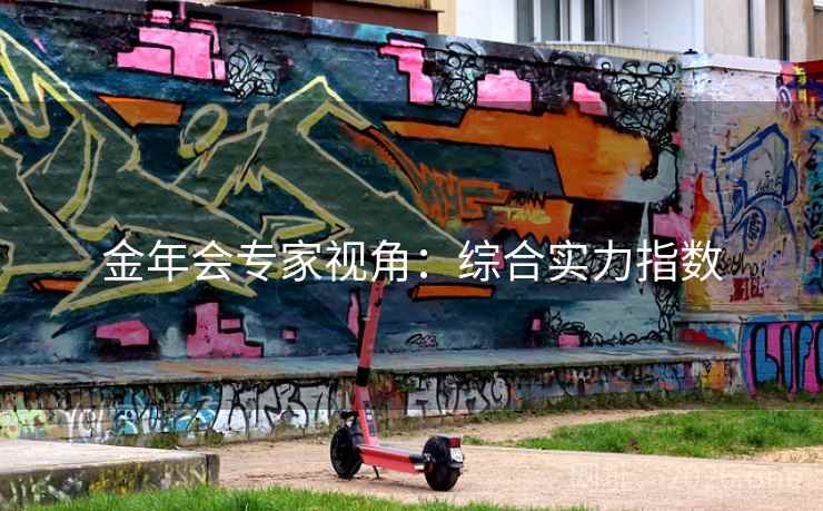 金年会专家视角：综合实力指数