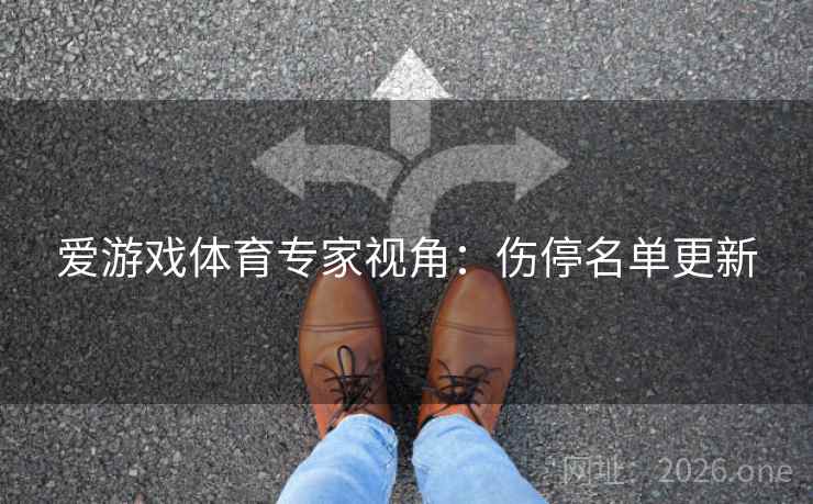 爱游戏体育专家视角：伤停名单更新