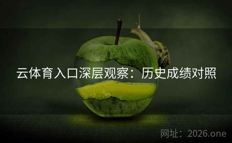 云体育入口深层观察：历史成绩对照